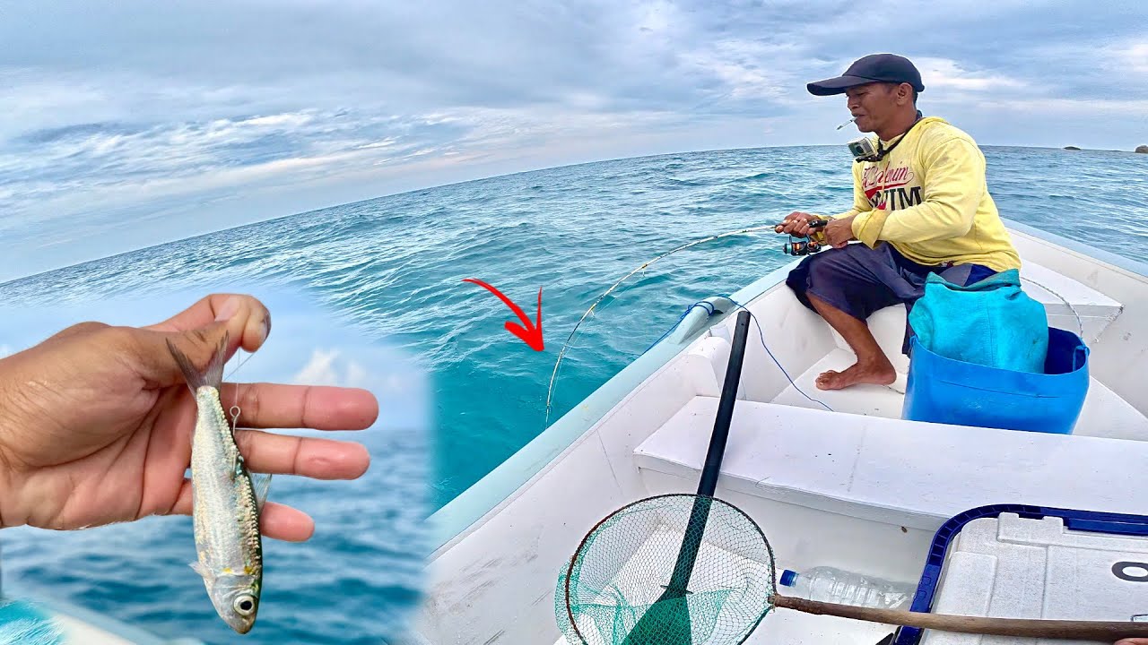 REJEKI SETELAH BADAI ..!!! MANCING DENGAN UMPAN IKAN HIDUP , BERUNTUNG MASIH ADA CINTANYA