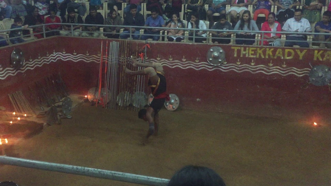 Thekkady martial art show YouTube