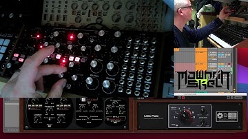 Moog Subharmonicon singing for supper - Mawhrin Skel