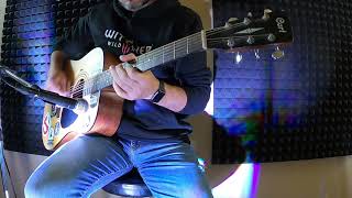 Marcin Przybylowicz & Percival - Back On The Path, OST The Wither 3: Wild Hunt (guitar cover)