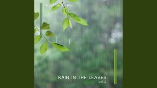Rain Noise for Relaxing Relax pt. 3