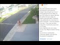 Holly Forest Community In Holly Hill FL. Residents Will Try And Hurt Your Pet. Cat messed With 3x