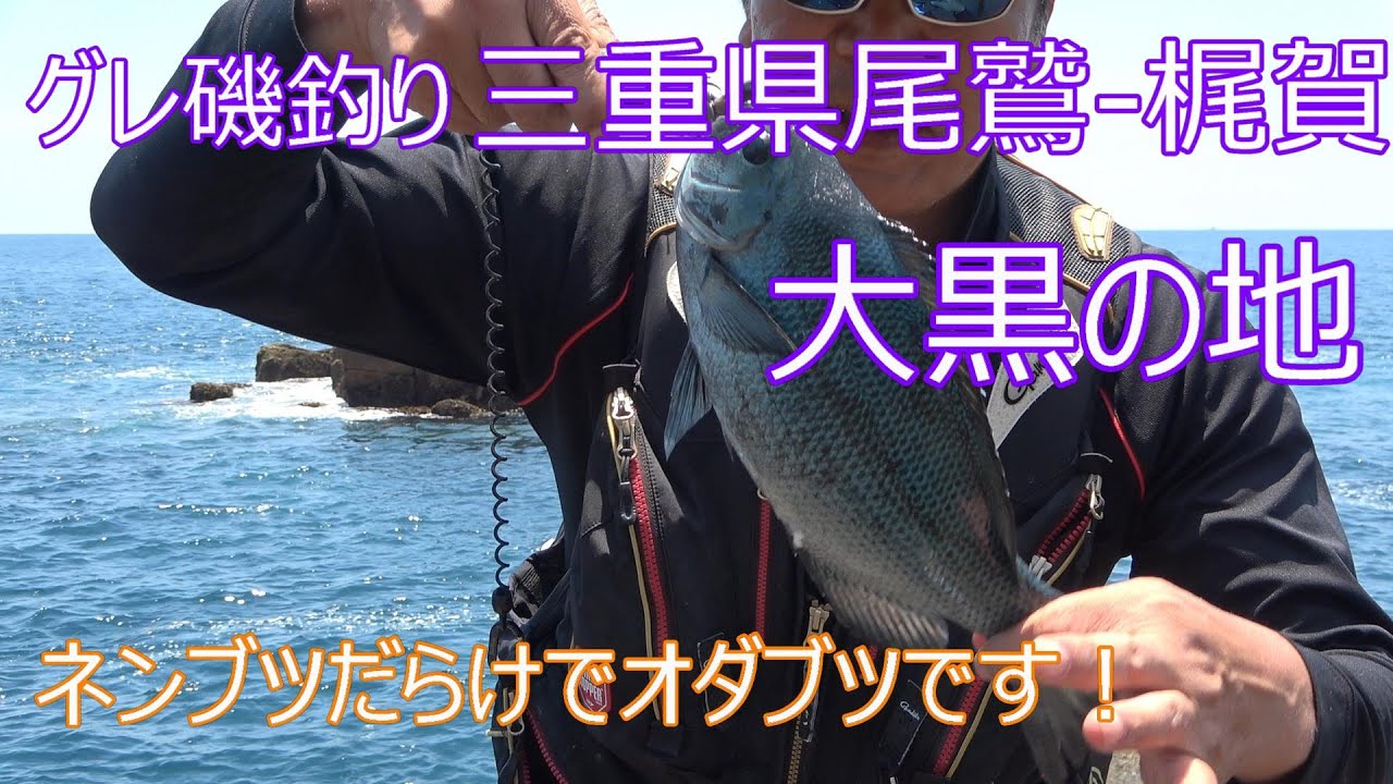 グレ磯釣り 三重県尾鷲 梶賀 5 Youtube グレ磯釣り 三重県尾鷲 梶賀 5 Youtube
