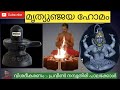    mruthyunjaya homam explanation ph 9526040391