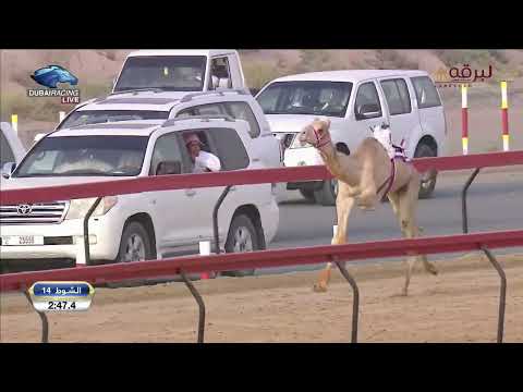 ش14 سليماني لـ حمد محمد علي الدرعي تأهيل المرموم الأسبوع الثاني 15 9 2023ص حقايق قعدان إنتاج 2 59 5