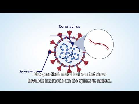 Hoe werkt het corona vaccin?