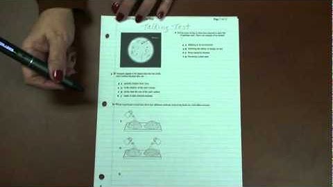 LS - Talking Test - Livescribe Education Example