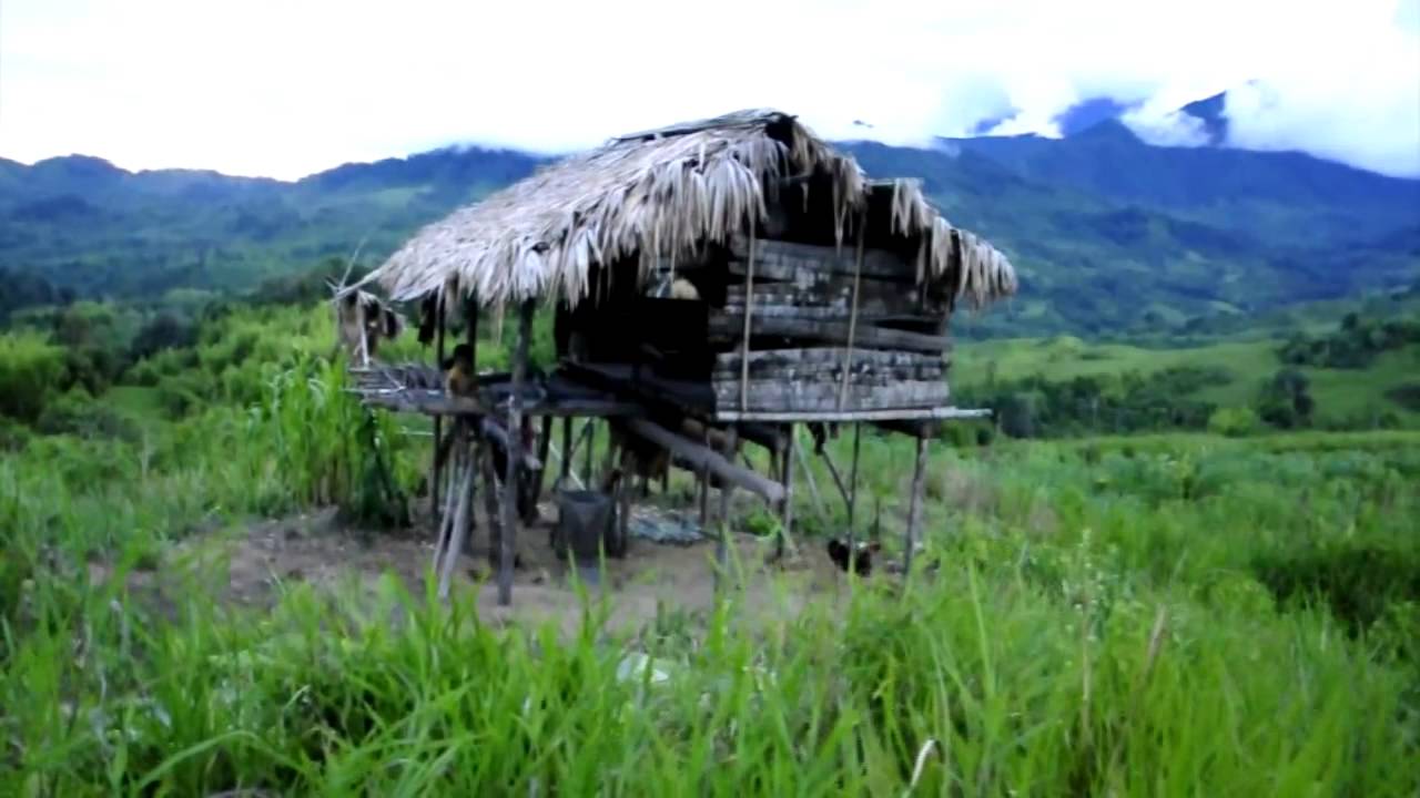 PESAT - Menemukan  Suku Wana