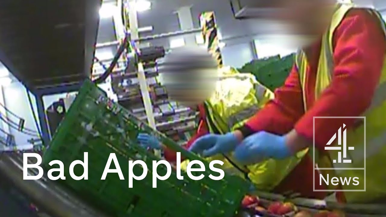 Supermarkets launch investigations over migrant exploitation