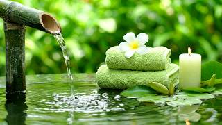 Misty Bamboo Forest — Bamboo Spa Fountain 24/7, Minimal Piano Notes and Gentle Water for Calm Focus screenshot 5