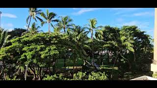 Beautiful Nature Sounds In Hawaii