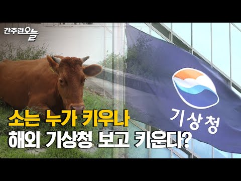 "한국 기상청 못 믿겠다" 기상 망명족 등장 / "고생 많았소" 물폭탄 속 소 수난시대