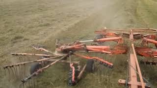 Rakeing Hay