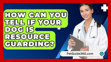 How Can You Tell If Your Dog Is Resource Guarding? - PetGuide360.com