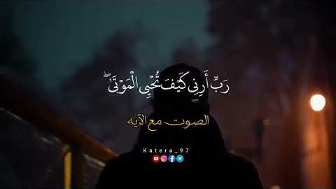 وإذ قال إبراهيم رب أرني كيف تحيي الموتى سورة البقره القارئ محمد ديبيروف