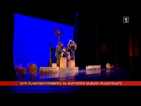 Երբ ընկերասիրություն են քարոզում անտառի բնակիչները