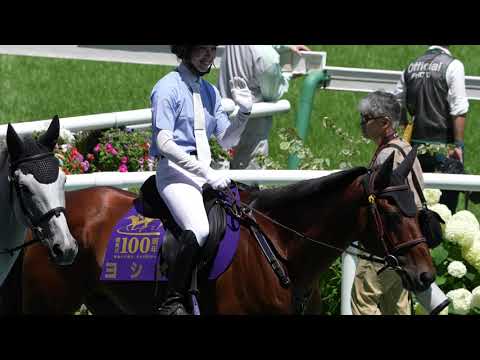 誘導馬ヨシオ at 福島競馬場 - YouTube