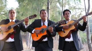 Trio Hermanos Torres - Mis Gavillas (Video Oficial) chords