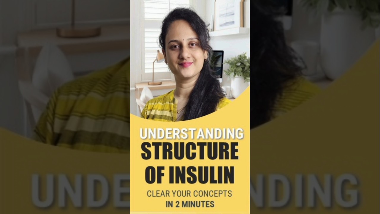 Structure of Insulin
