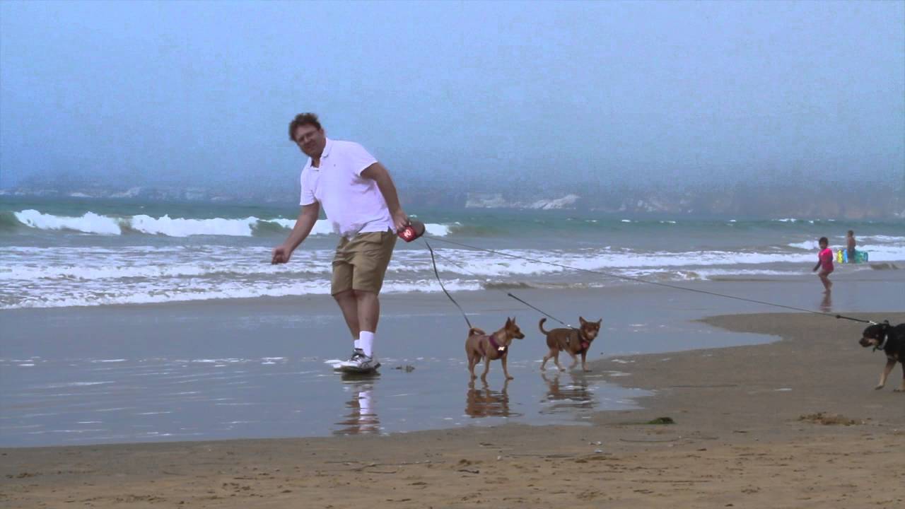 Walking my dogs at Pismo Beach YouTube