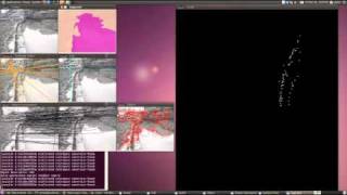 Celebrity Monocular Vision Based Navigation (SLAM) in Riverine Environments Wealth