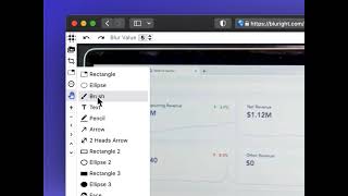 Use Brush Tool To Add Effect To Your Image Online Easily Bluright V2.0