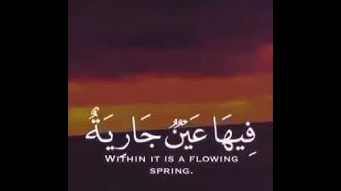 تلاوه دقيقه