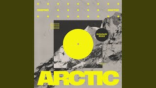 Arctic (Bushbaby Remix) - Skepsis & Doktor