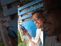 pandhri blog bna rha he😂 #funny #minivlog #music