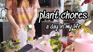 day in the life of a plant lady 🌿 running a business from home & managing over 250 plants 🤪