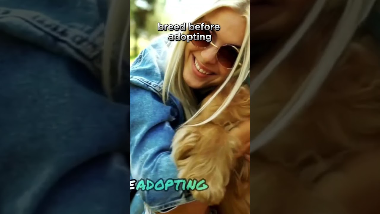 Considering a Giant Dog  What You Need to Know 