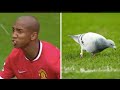 It didnt happen ashley young on that bird poo