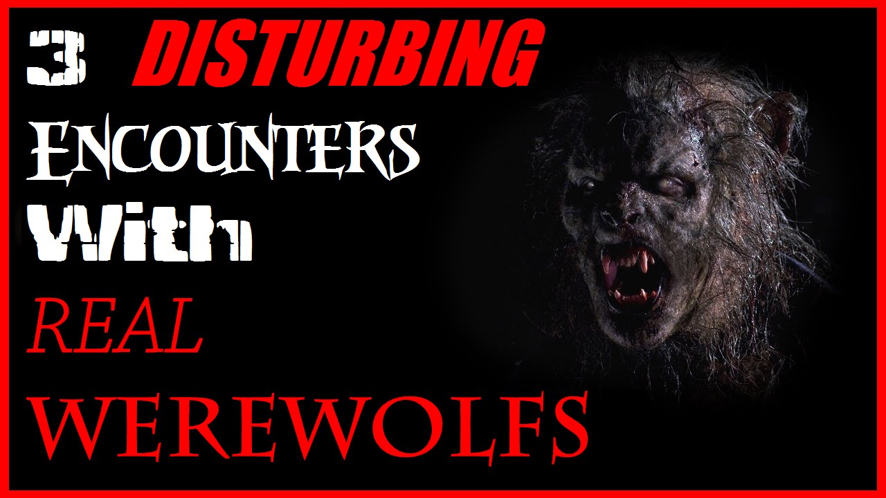 3 DISTURBING ENOUNTERS WITH REAL WEREWOLF'S