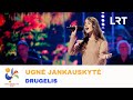 Ugnė Jankauskytė –  „Drugelis“ | „Dainų dainelė 2024“