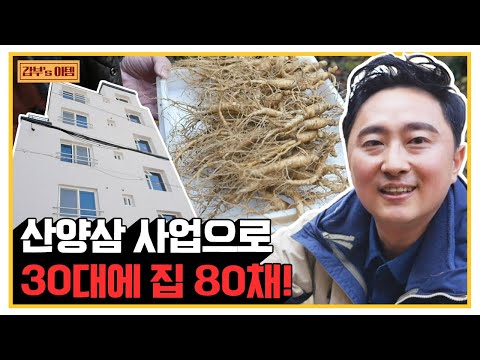 [갑부&amp;#39;s 아템] 산양삼 재배로 30대에 부동산 80채 구매🔥 도전 정신으로 이룬 자산 230억 프로 N잡러! | 서민갑부 360 회