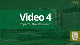 Miniatura del video 4