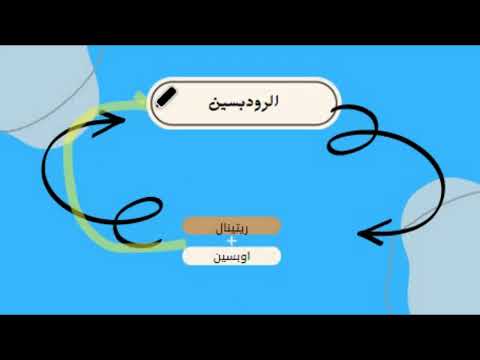 الية الرؤية المستقبلات الضوئية الجزء السادس الوحدة الأولى احياء ثالث ثانوي
