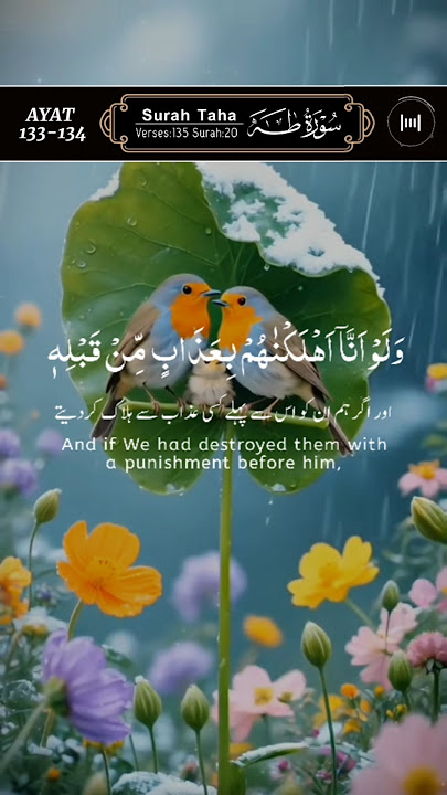 Surah Taha by Qari Fozle Azim, Ayat 133-134, سورۃ طٰہ #surahtaha #quran #birds #islam #shorts #viral