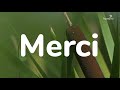 15 ans : merci de votre confiance