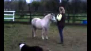 Getting to know Buzz