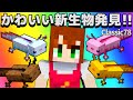 【あかがみんクラフト】新MOB!!スーパーなウーパールーパー発見!!【赤髪のとも:あかがみんクラフトclassic】#78