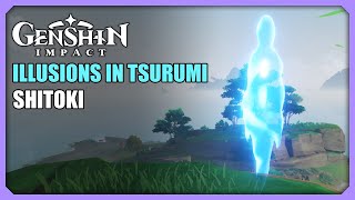 Shitoki  Illusions In Tsurumi  Puzzle  Genshin Impact