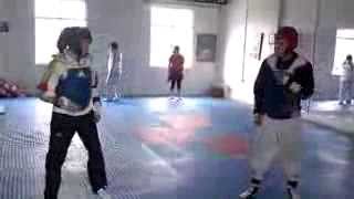 ENTRENAMIENTO DE PLANIFICACIÓN TAEKWONDO screenshot 5