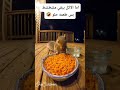 السنجاب اللي تحدى الشطة سنجاب مضحك شطة أكل تحدي الحر فيديوهات مضحكة حيوانات ظريفة سناجب