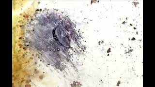 8mm Direct Animation