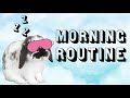 Morning routine with a free roaming bunny | The honey bunny house