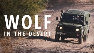 Desert Test Drive in the 1998 Land Rover Wolf 110 - V22E2