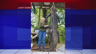 Grandmother kills gator in Livingston, Texas