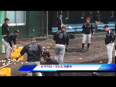 阪神タイガースキャンプ10 沖縄 5 マウロ・ゴメス ティーバッティング