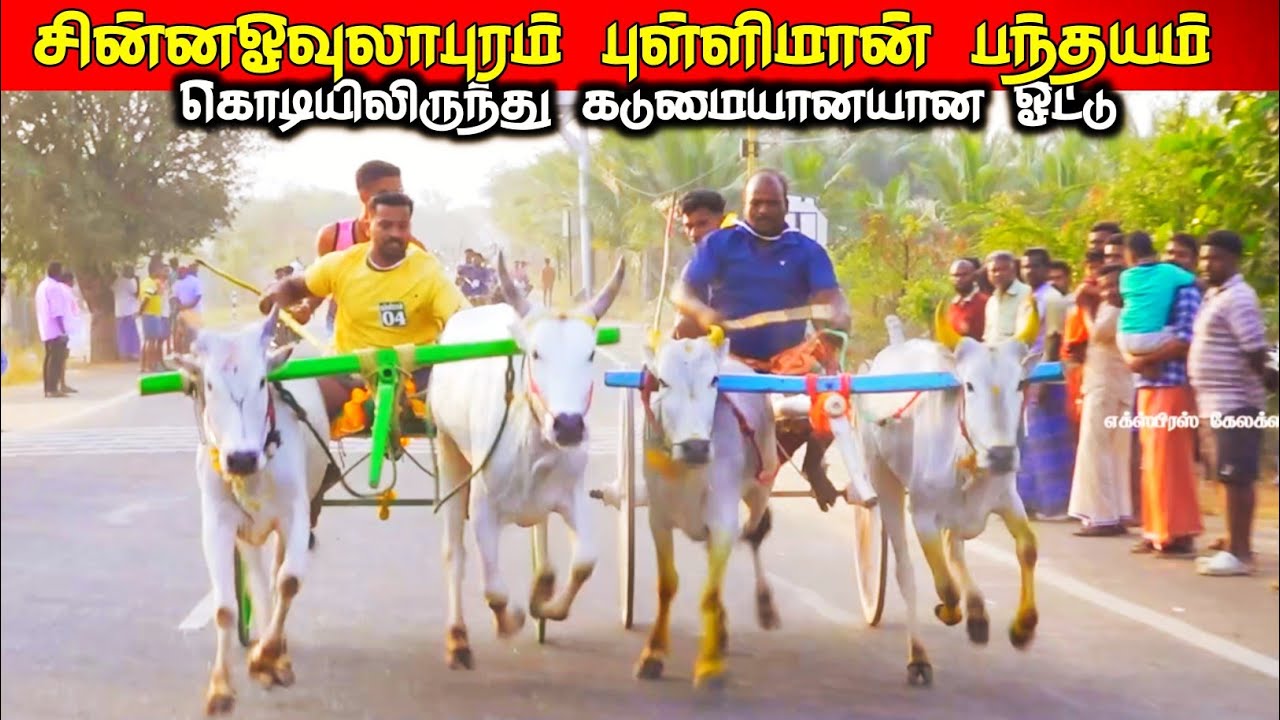 7-3-2026-புள்ளிமான்- சின்ன ஓவுலாபுரம்  பந்தயம்